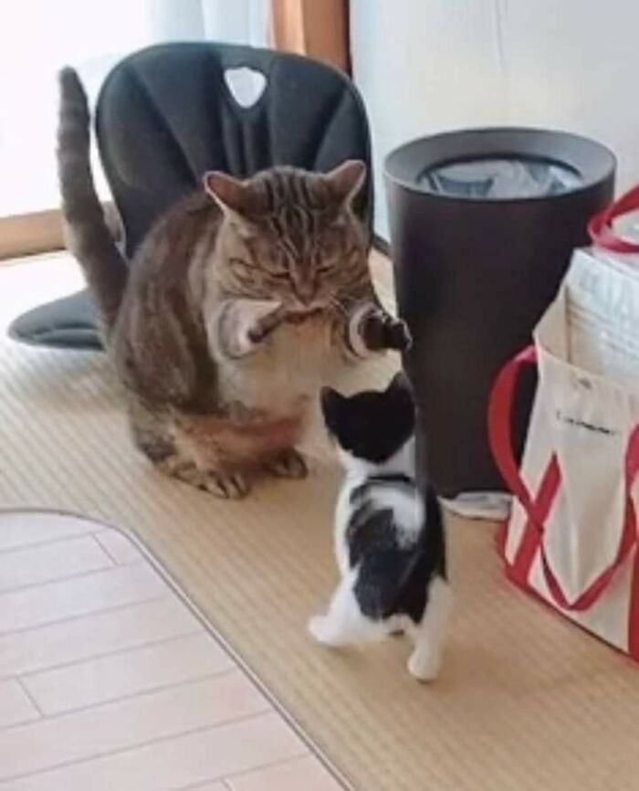 13. Hey little buddy