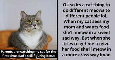 Cat-Sitter Attempts To Decode His Cat's Different Vocalizations, As Redditors Weigh In With Their Own Meow Stories