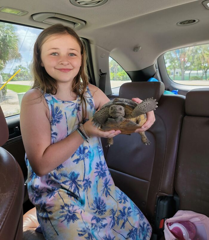 "This Tortoise My Daughter And I Saved Off The Road While On Vacation"