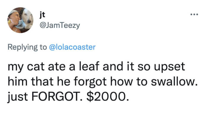 Don't let this cat near the veggies, or else.