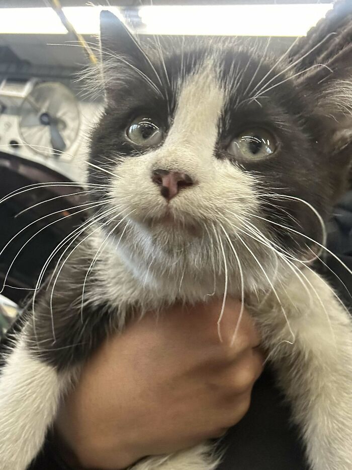 6. From under the hood to a cozy home