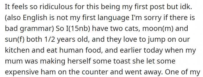 The OP's cats adore stealing food from the kitchen...