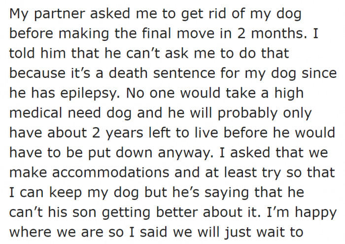 The original poster (OP) can't let go of the dog even if her partner told her to.