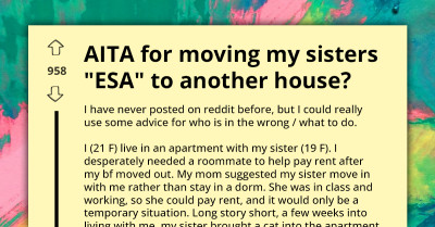 Fiery War Erupts After Lady Secretly Re-Homes Sister’s Aggressive "ESA" Cat
