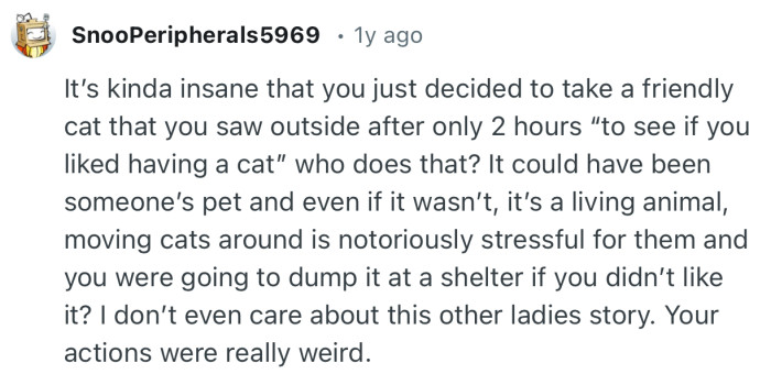“It’s kinda insane that you just decided to take a friendly cat that you saw outside after only 2 hours ‘to see if you liked having a cat’…”
