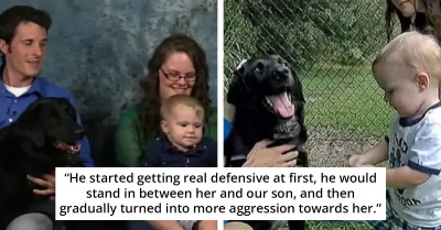 Couple Finds Out That They Hired Rude And Toxic Babysitter, All Thanks To Their Smart Dog