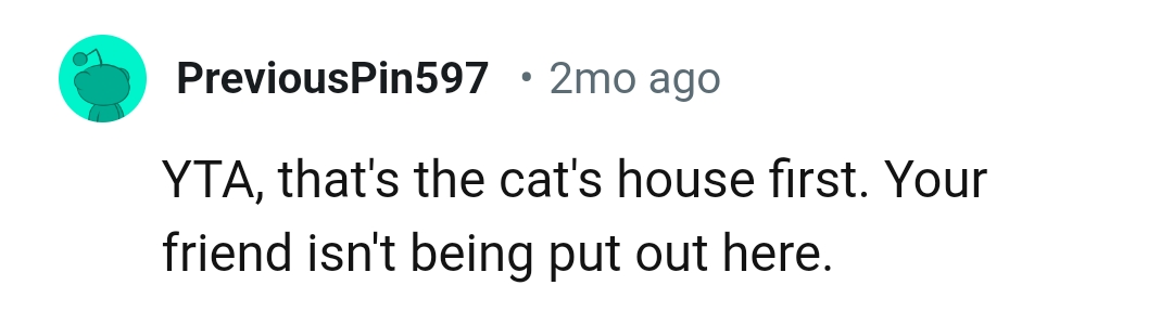 It is the cat's house first