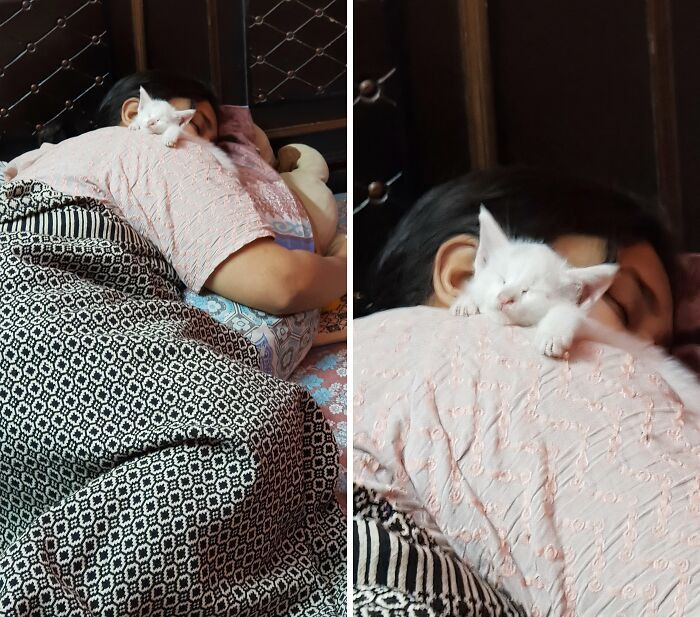"My Sister Sleeping With A Rescue We Found Crying On The Side Of The Road"