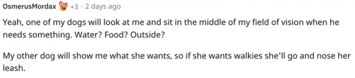 12. Smart little cutie