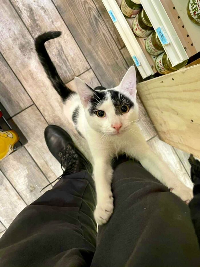 30. ‘Can you take me home?’