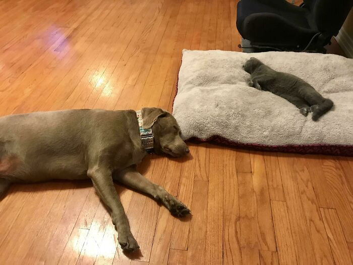 "He Graciously Allowed Her A Corner Of Her Own Bed"