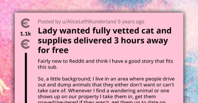 Redditor Who Rescues And Rehomes Abandoned Cats Gets Accused Of Selling Animals Because Of The Adoption Fees