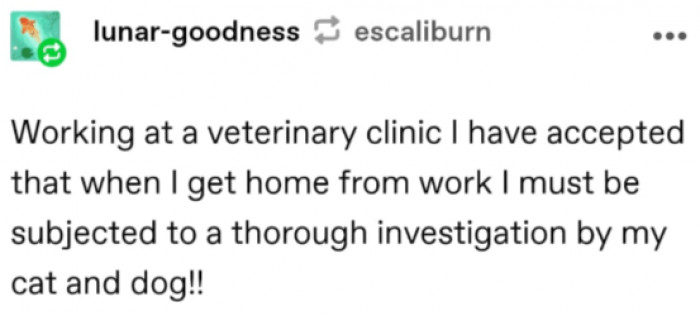 3. A thorough investigation from the cat and dog