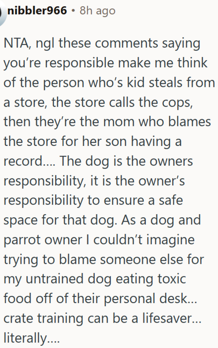 The dog owner is the only one to blame for what their untrained pet eats