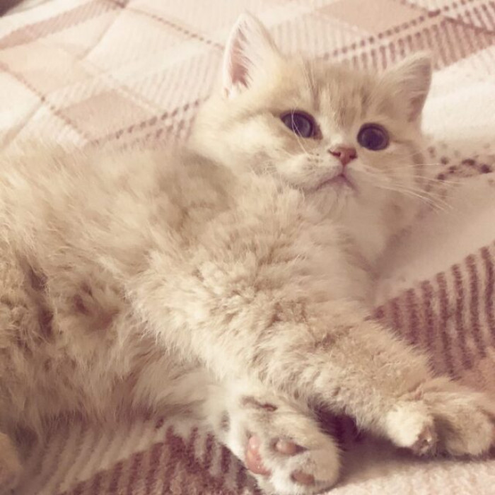 Egg appeared to be prepared for his first steps, but then...