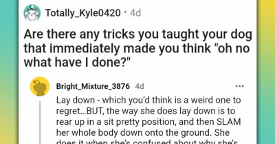 Hilarious Story Of Man Who Taught His Dog A Trick And Later Regretted It Has Others Sharing Theirs