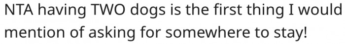 11. The dogs were the most important information his friend should have mentioned first.