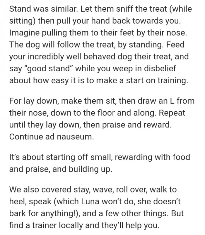 Let them sniff the treat