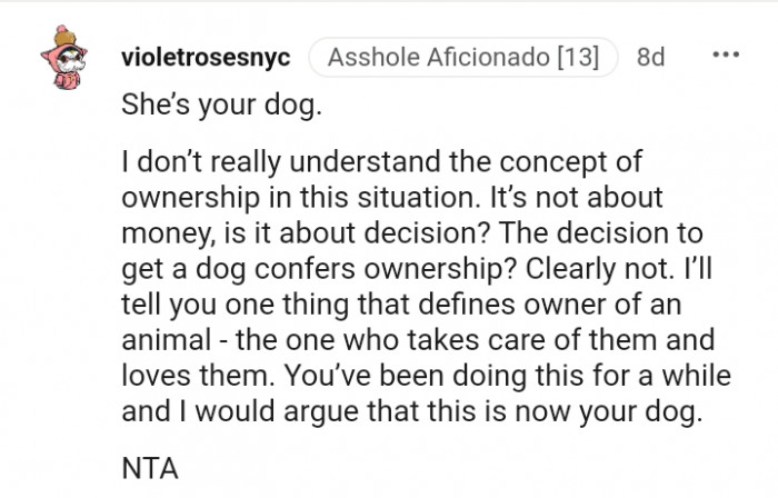 18. The one who takes care of the animal is the owner