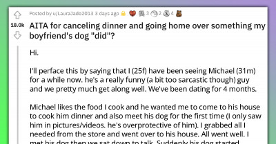Pathetic Boyfriend Used His Dog To Call His Girlfriend Ugly And Told Her She Was Insecure When She Got Hurt