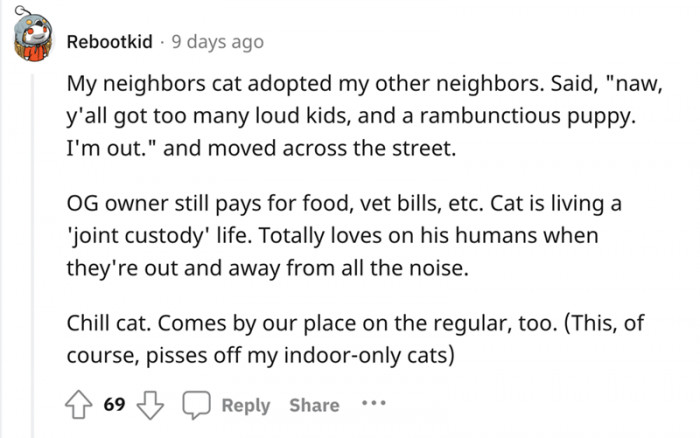 "Mistakes were made." - This cat, probably.