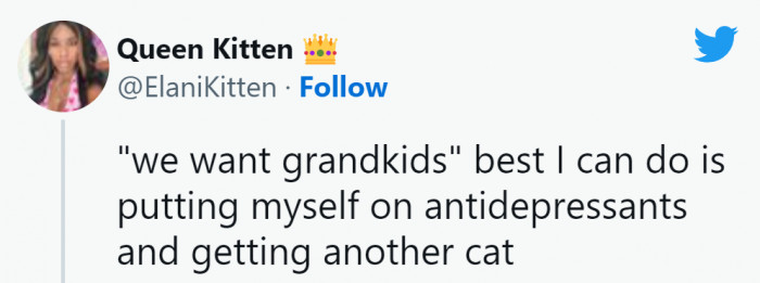16. Cats are enough to make humans happy.