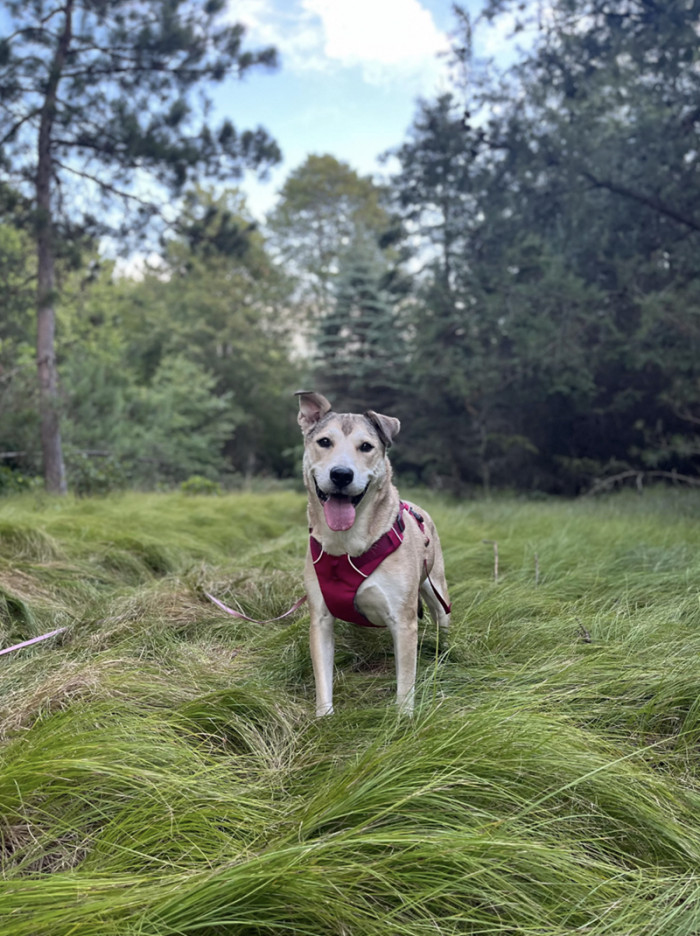 And a picture of the other