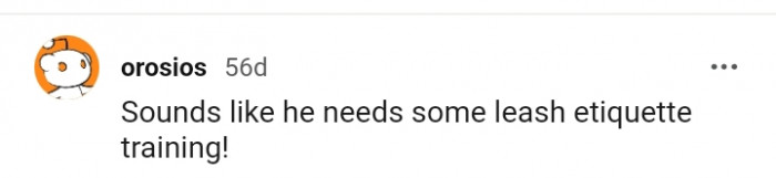 20. Leash etiquette training