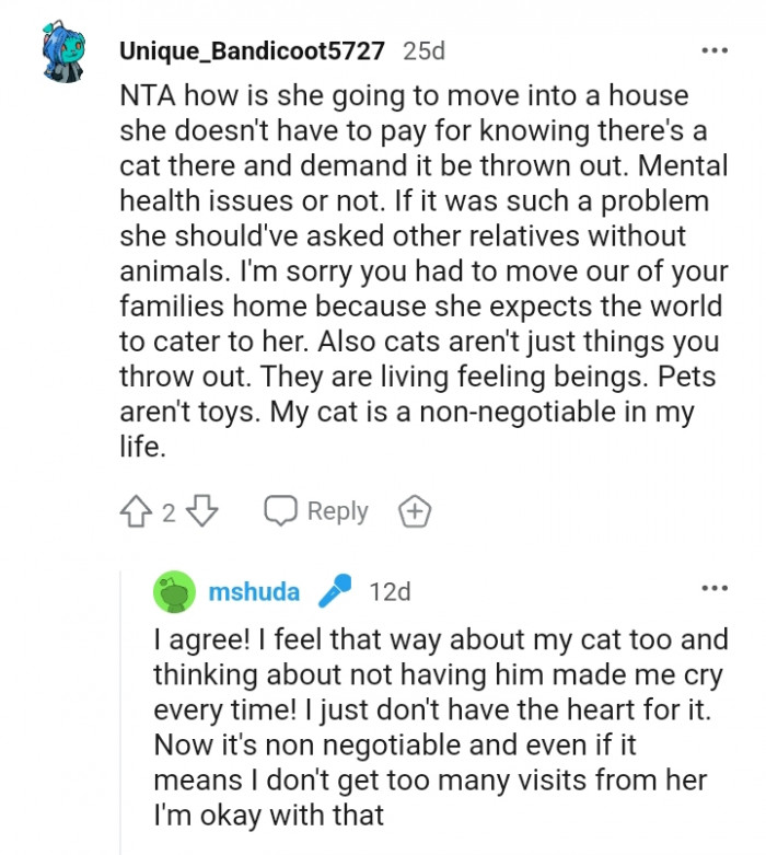 Cats aren't just things you throw out.