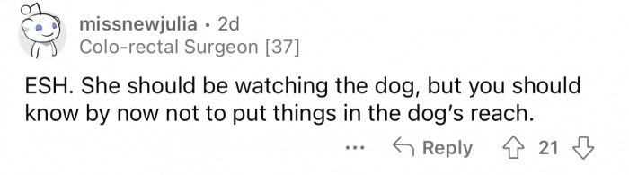 OP should have made sure the dog couldn't get to her clothes.