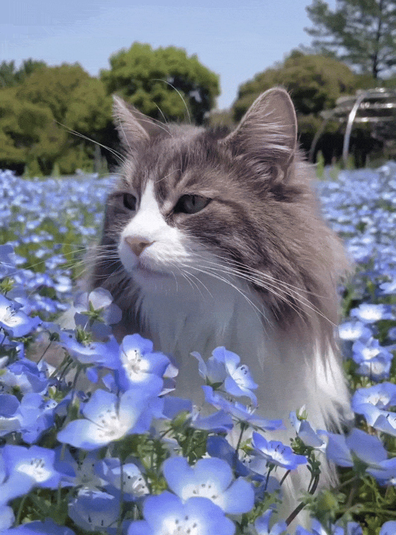 She Finally Gets Her Main Character Moment