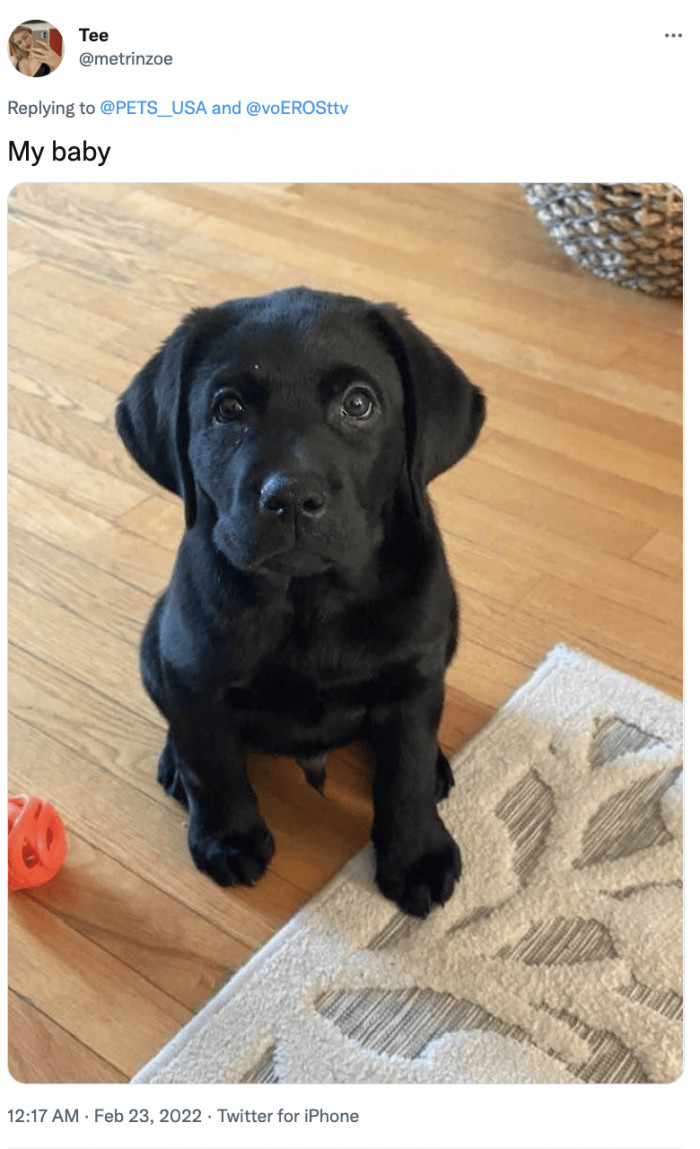 13. An adorable baby too