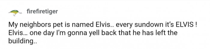 35. Elvis has left the building