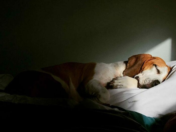 37. Such a peaceful sleep