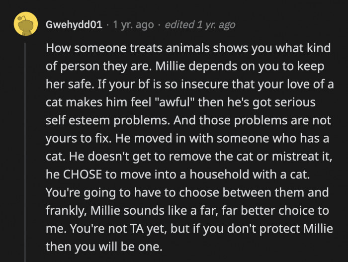 OP is Millie's whole world, it is up to OP to make sure that everyone in her life is to be trusted around her and her cat. Her boyfriend does not fit that category.