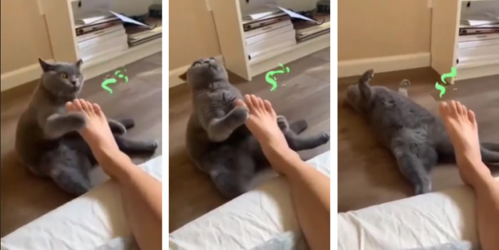 17. This is what we call death by smelly foot.