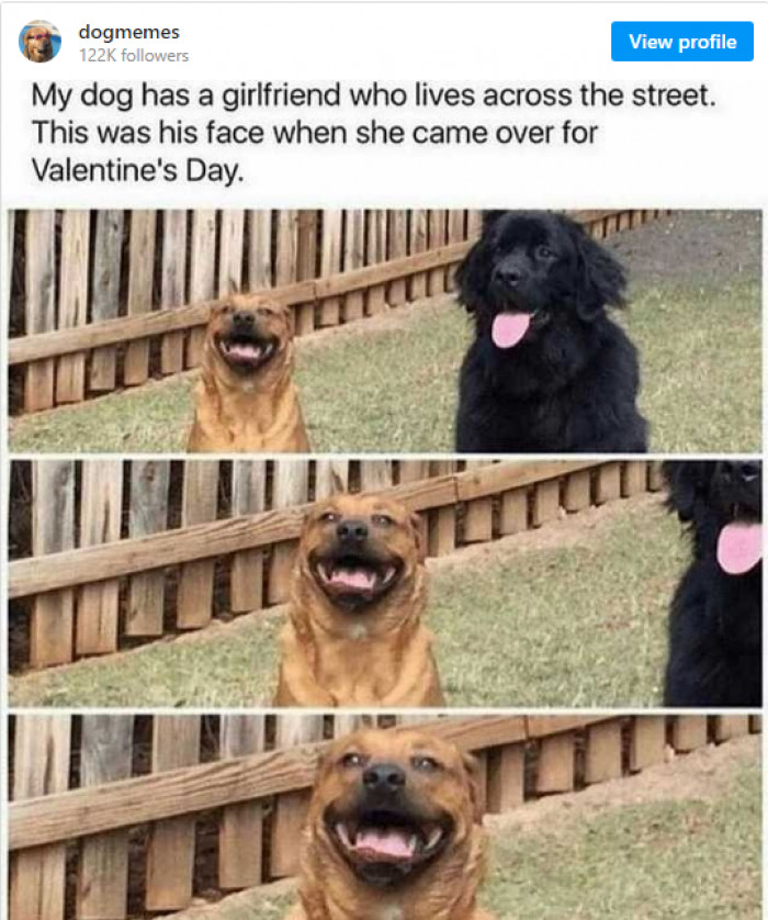 21. The happiness written all over his face is so cute and contagious