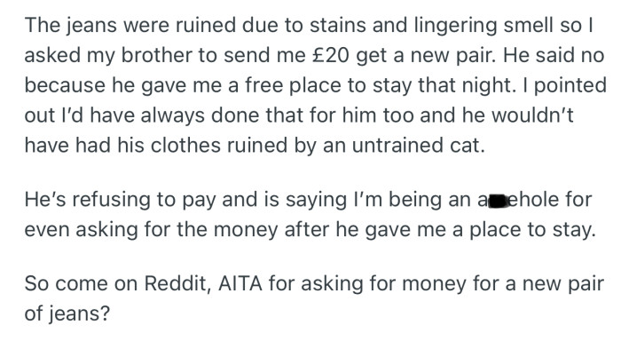 OP demanded that his brother buy him a new pair of jeans. This, however, sparked an argument between them