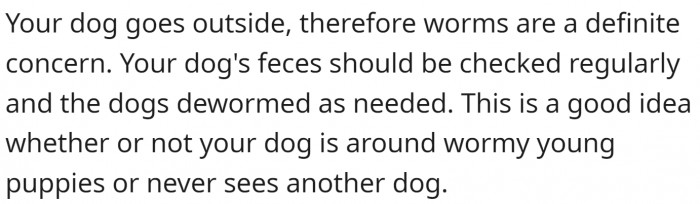 The dog goes outside; therefore, worms are a definite concern.