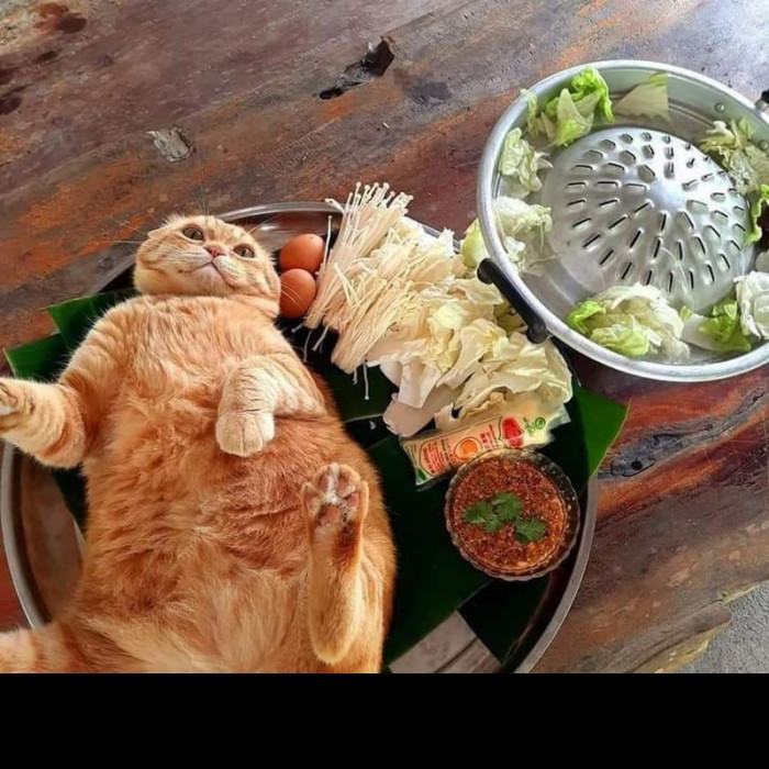 13. Nope, you're not part of the meal, buddy.