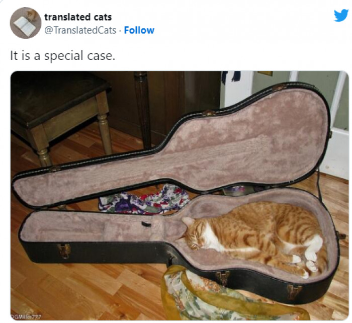 14. A Special Case. In Every Sense of That Word