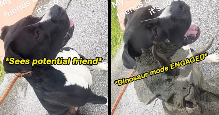 The sweet little babe just wants to make friends