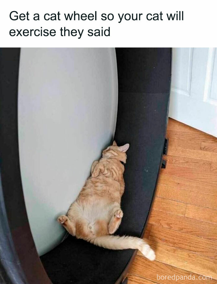 42. It's a comfy place to rest