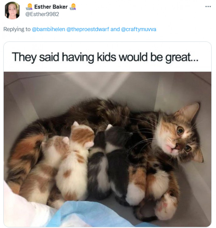 Sorry to tell you, but everyone lies.