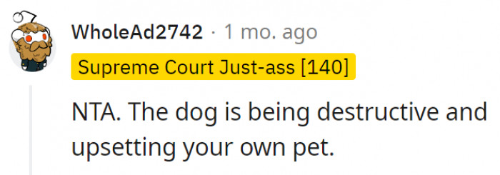 14. The dog's behavior is negatively affecting everyone involved
