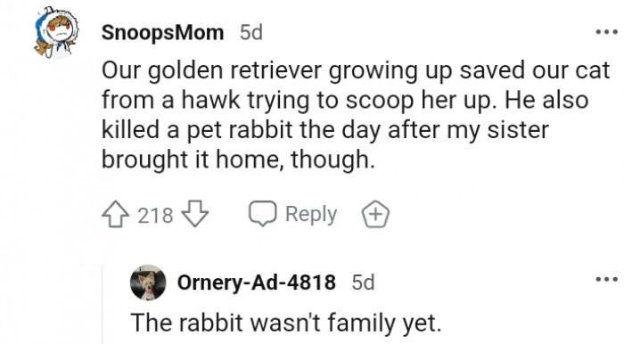 17. When the rabbit isn't family yet