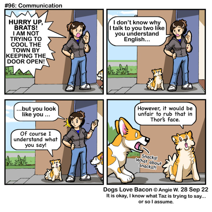 It Makes You Wonder How Dogs Understand the English Language When All They Do Is Bark.
