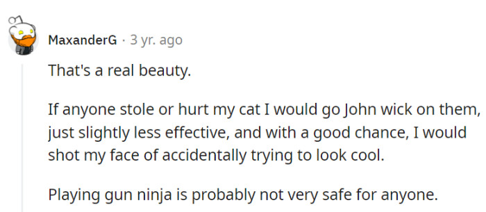 Admiring the cat's beauty while considering a John Wick-style defense, but safety first—accidental coolness might include self-inflicted facepalms!