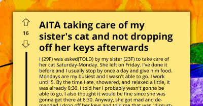 Irresponsible Redditor Tells Sister She'd Feed The Cat, Flakes Out At The Last Minute After Being Tired From Work