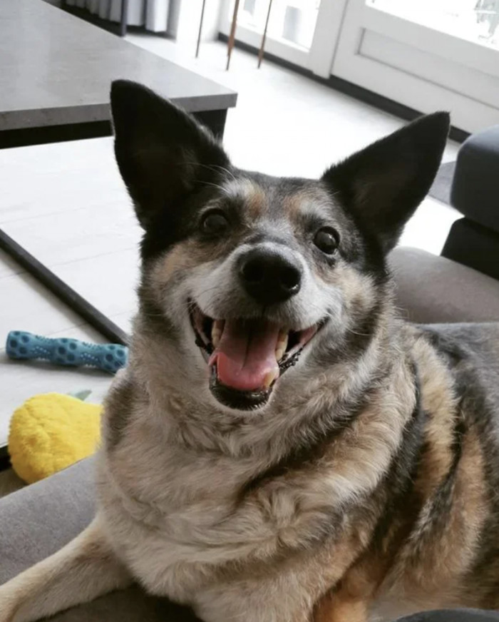 "Here's to some more wonderful years together!"